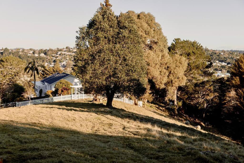 Modern Lifestyle Retreat With Stunning City View Auckland Zewnętrze zdjęcie